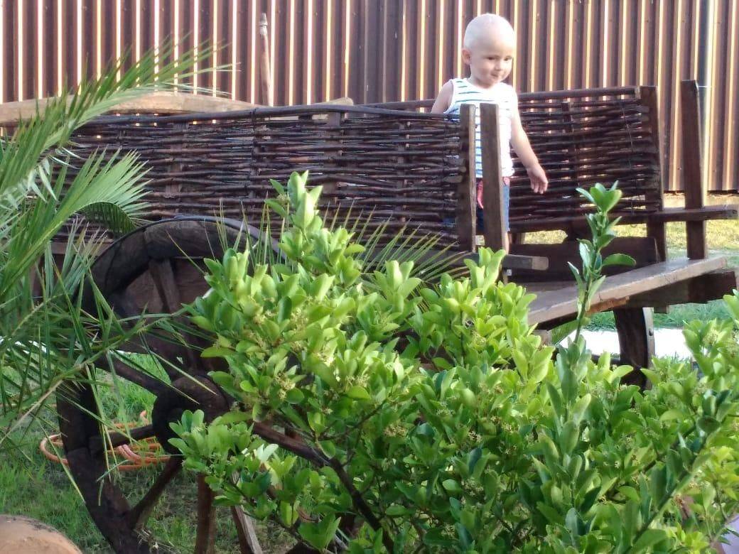 Фото Гостевого дома Отель Лдзаа Пицунда 8